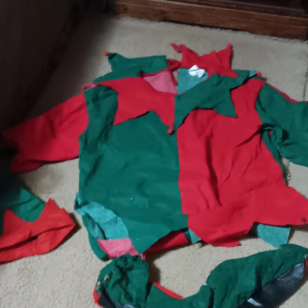 Elf Costume